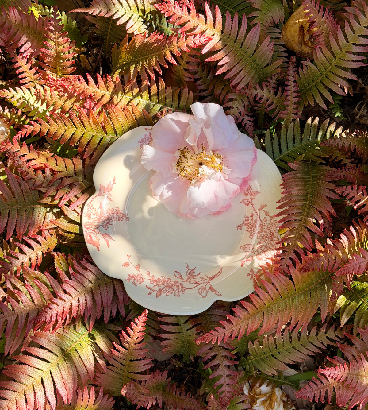 Spring Floral Bundle - Burgundy