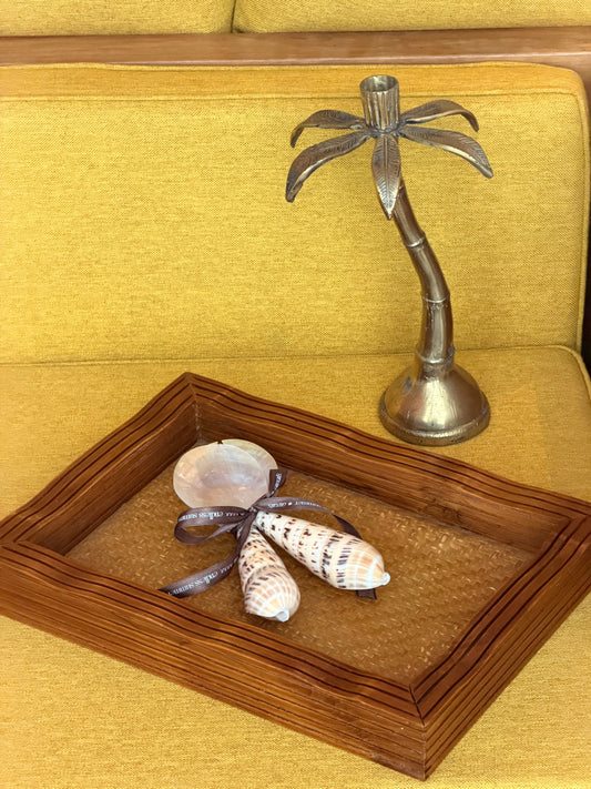 Shell Salad Servers