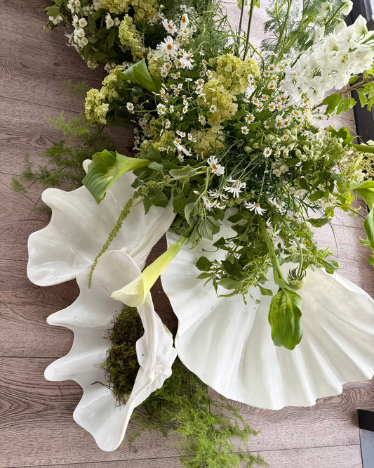 Clam Shell in Medium