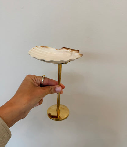 Shell Display Dish - Tall