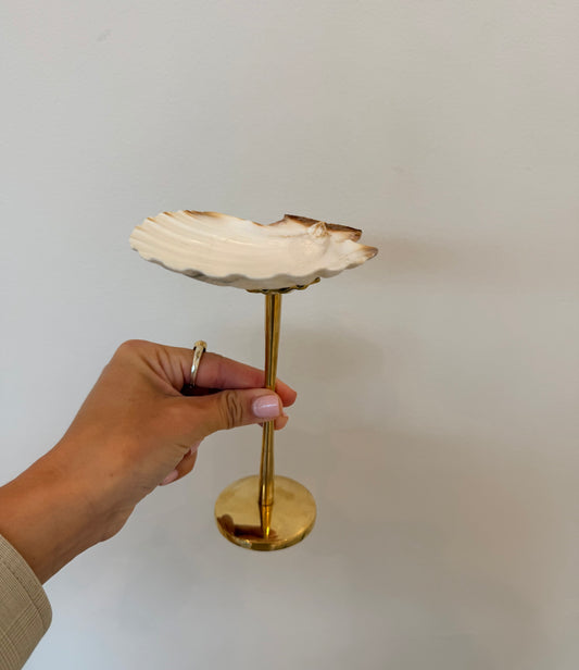 Shell Display Dish - Tall