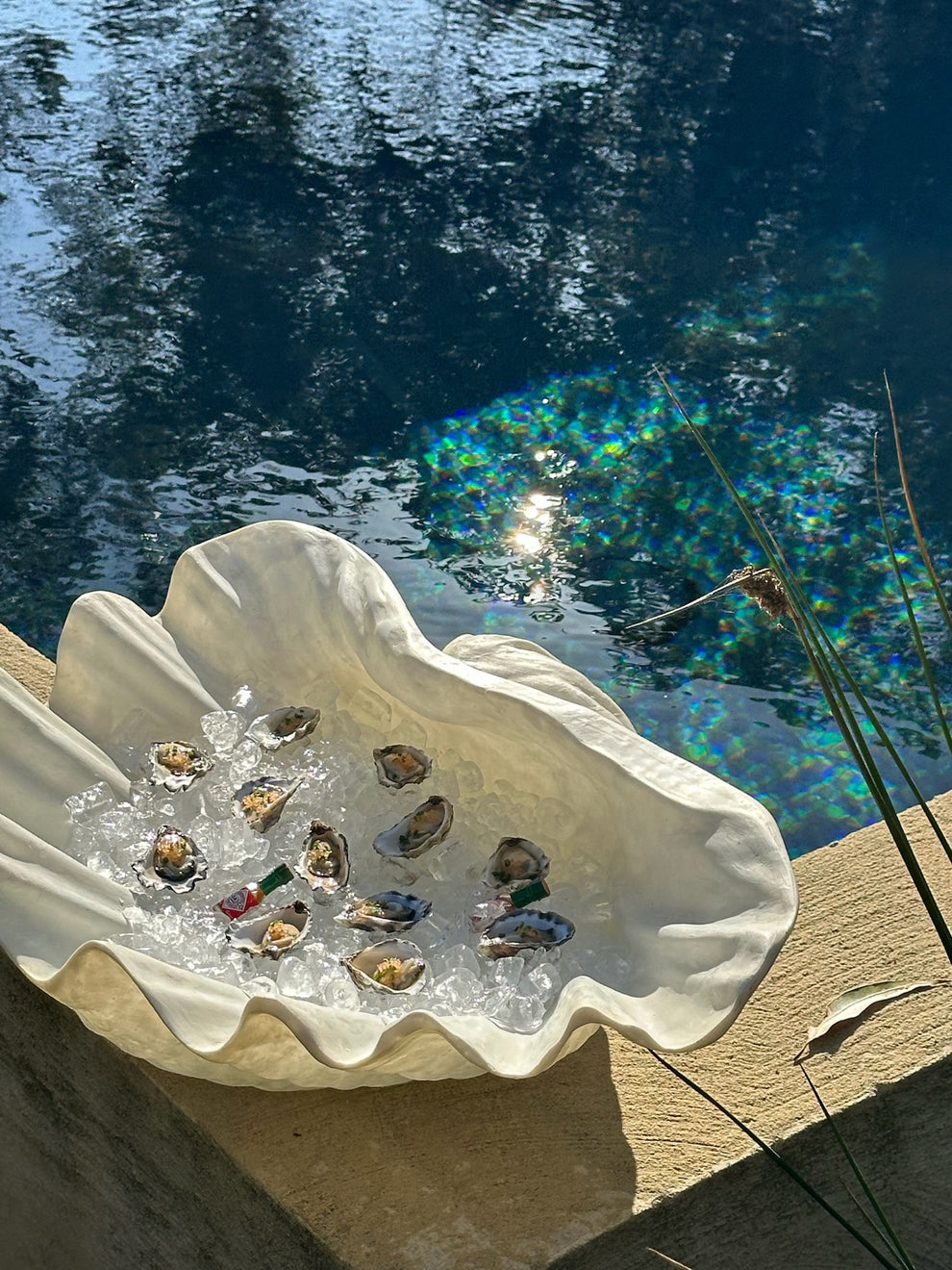 Clam Shell in Large – Higher Group